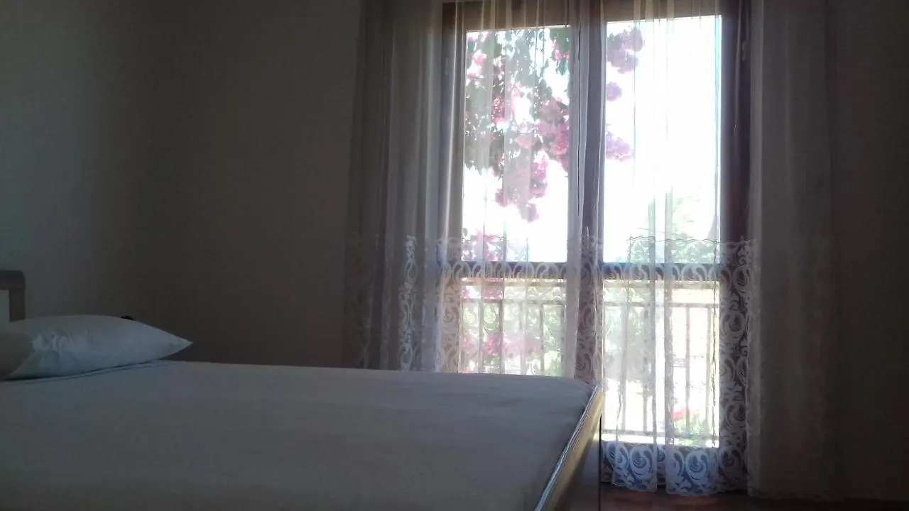 Apartment Apartmani Danica Biograd Na Moru